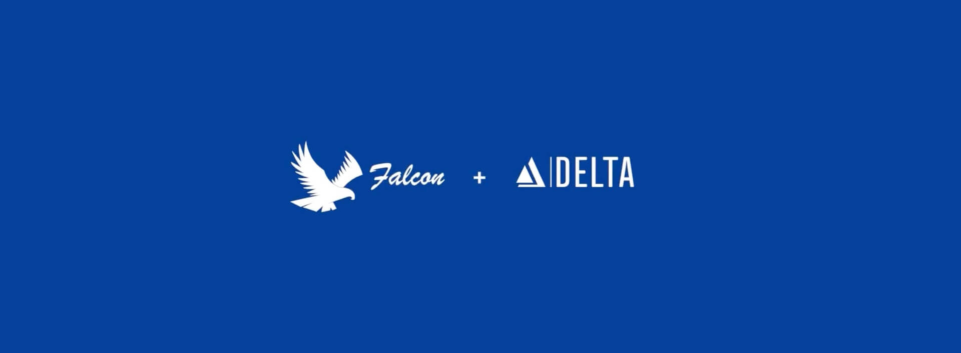 Falcon X Fontys Delta